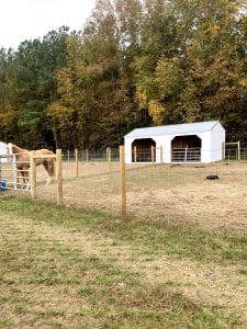 Old Hickory horse and livestock Animal Shelter with metal roof and two stalls in fenced pasture, durable portable shed built for farms and ranches