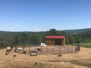 Old Hickory Animal Shelter with T1-11 Siding, metal roof and tack room in fenced pasture, portable livestock shed for farms and ranches