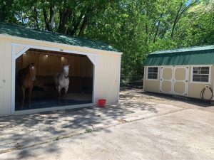 Old Hickory Animal Shelter shed with horses inside, durable portable livestock shelter and Lofted Barn building for barns and ranches