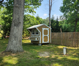 Old Hickory backyard Chicken Coop with nesting box and metal roof beside wood fence and trees, ideal for residential or farm use