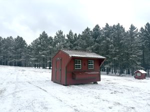 Old Hickory Chicken Coop with nesting box and metal roof in snowy farm setting, portable outdoor building ideal for residential or farm use