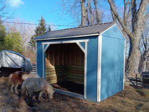 Old Hickory Animal Shelter shed for horses or livestock, durable portable barn shelter with metal roof for farm and ranch animals