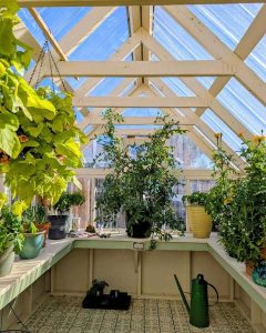 Old Hickory Greenhouse with sunlit glass roof, thriving plants and workspace, backyard greenhouse for year-round growing