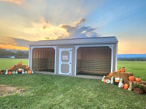 Old Hickory portable Animal Shelter with dual stalls and tack room in fall landscape, ideal for horses and livestock.
